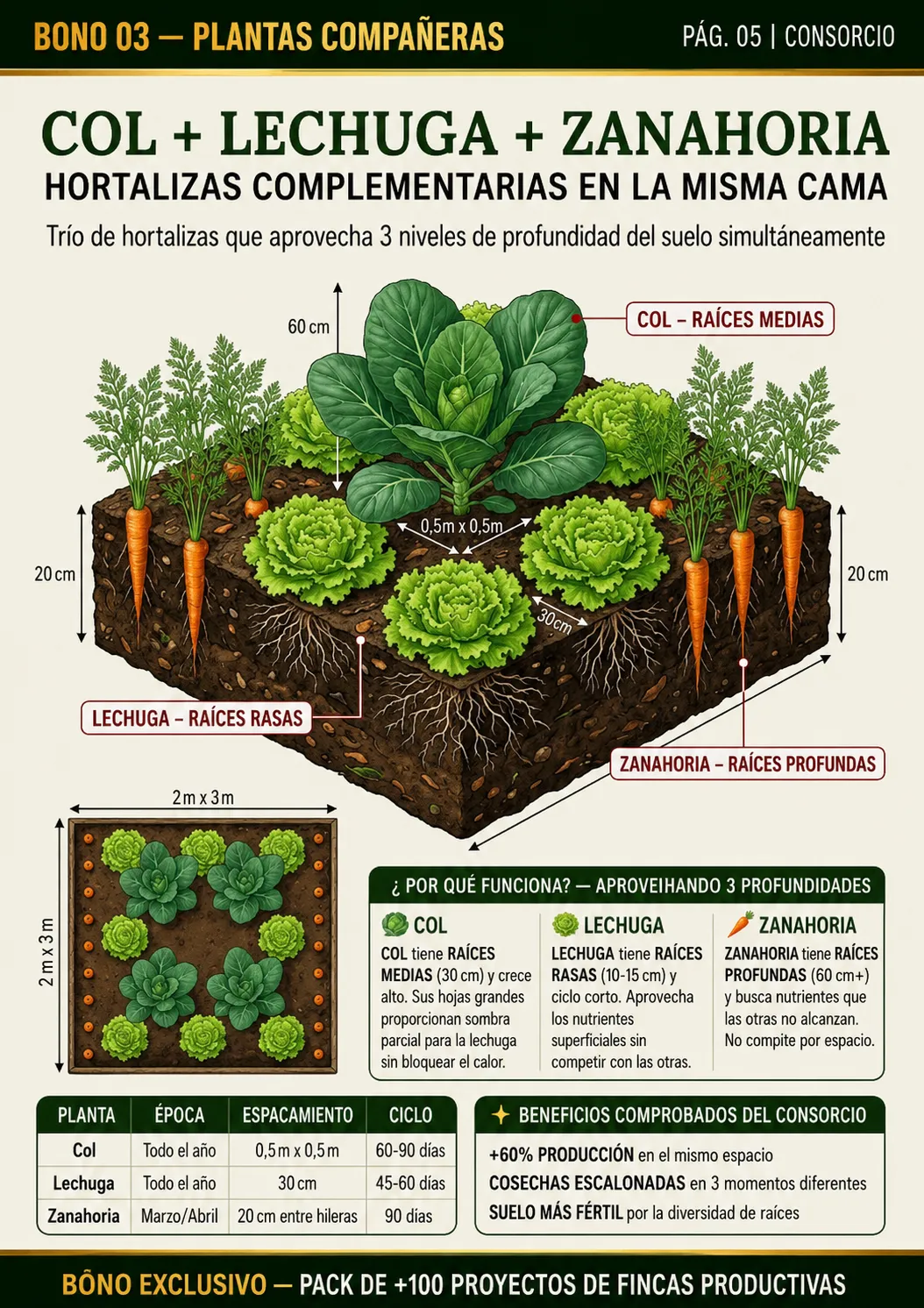 Proyecto de huerto integrado