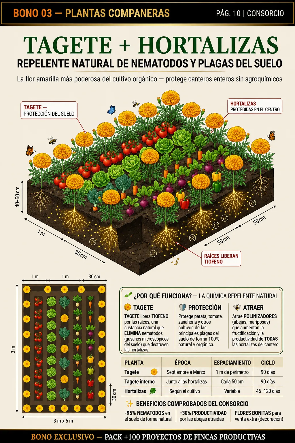 Finca con café y animales